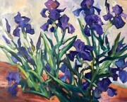 Van Gogh's Iris: St. Remy